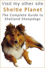Sheltie Planet