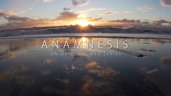 http://www.world-of-lucid-dreaming.com/image-files/anamnesis-the-lucid-dreaming-web-series.jpg