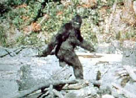 The Unexplained Mystery of Bigfoot