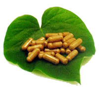 Calea Zacatechichi Capsules Calea Zacatechichi Capsules