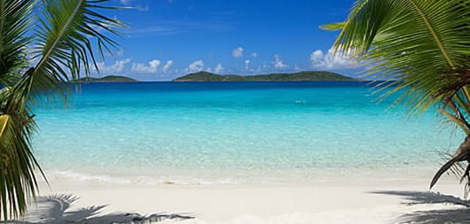 The Carribean The Carribean
