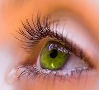 Try Not to Close Your Eyes in a Lucid Dream Try Not to Close Your Eyes in a Lucid Dream