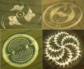 Crop Circle Dna