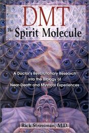 the spirit molecule