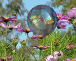 Lucid Dreaming Screen Saver Lucid Dreaming Resources: Lucid Dreaming Screen Saver