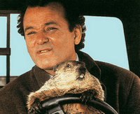 Groundhog Day: A Story of False Awakenings?