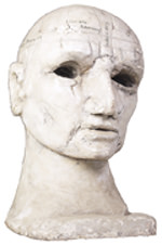 Aristotle and The Theory of Sleep