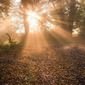 Is Lucid Dreaming Real?