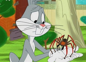 The Looney Toons Spider