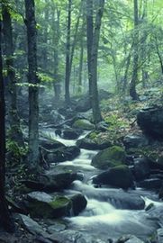 Meditation for Lucid Dreaming Meditation for Lucid Dreaming