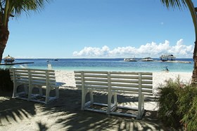 Program Your Dreams for a Tropical Paradise
