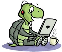 SBI Tortoise Style!