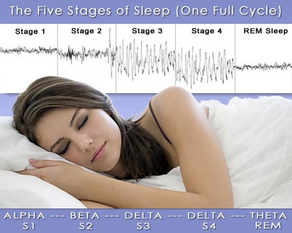 The Stages of Sleep