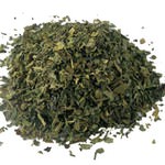 Wild Lettuce