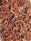 Yohimbine Lucid Dreaming