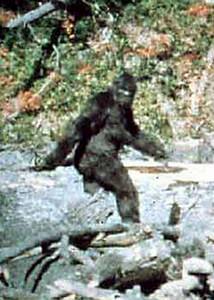 Unexplained Mystery #1: Bigfoot