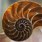 Bliss Coded Sound: The Golden Ratio in Meditation