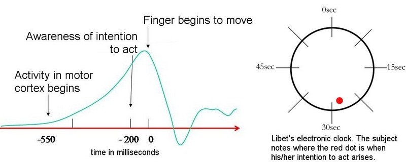 Libet's Experiment