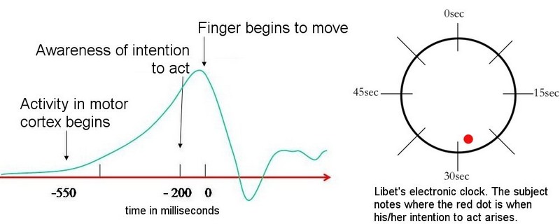 Is Free Will An Illusion Philosophy Science Is Free Will An Illusion Philosophy Science