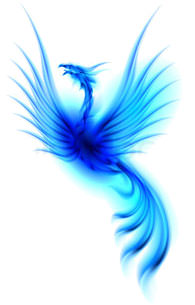 Lucid Dream Phoenix