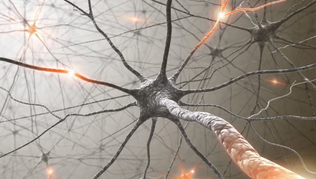 Aphantasia May Be Caused by Disruptions Across the Neural Network