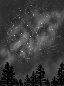 The Night Sky