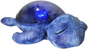 Tranquil Turtle by Cloud B Review