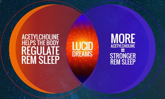 Acetylcholine and Lucid Dreams