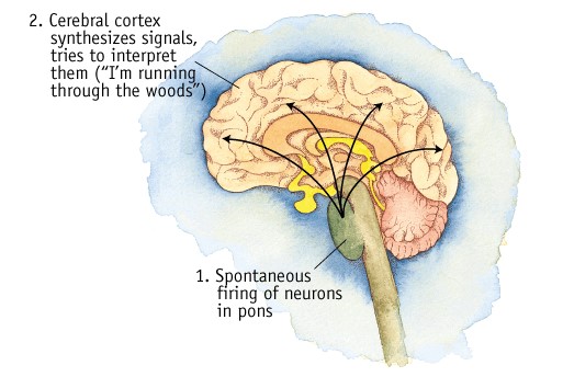 activation synthesis hypothesis psychology definition