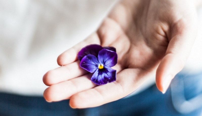 Flower in hand