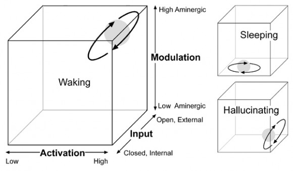 hobsons aim model of dreaming