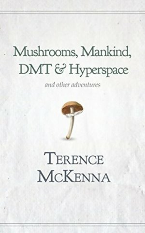 mushrooms mankind dmt and hyperspace book
