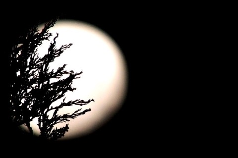 Pavor Nocturnus